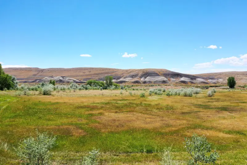 GREYBULL WYOMING LOG SIDED HOME ON 40 ACRES #79