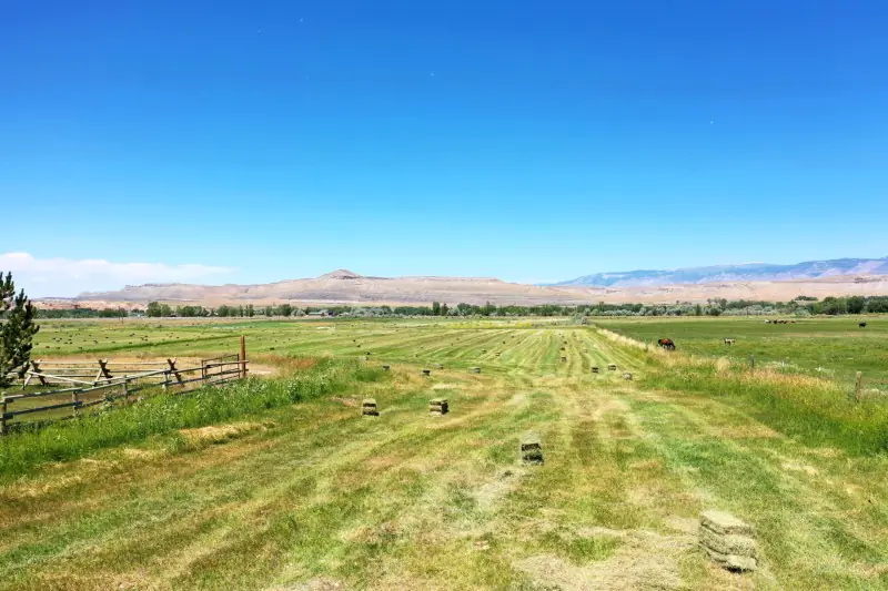 GREYBULL WYOMING LOG SIDED HOME ON 40 ACRES #81