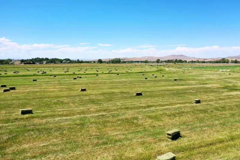 GREYBULL WYOMING LOG SIDED HOME ON 40 ACRES #82