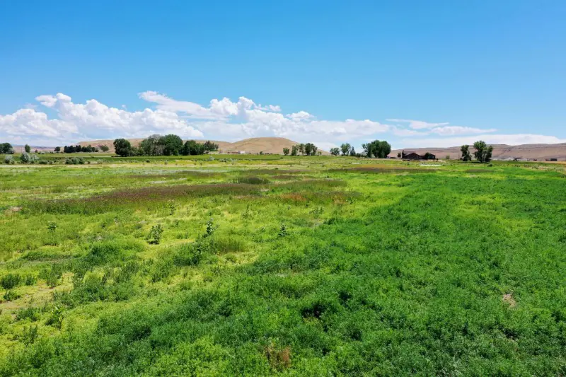 GREYBULL WYOMING LOG SIDED HOME ON 40 ACRES #83