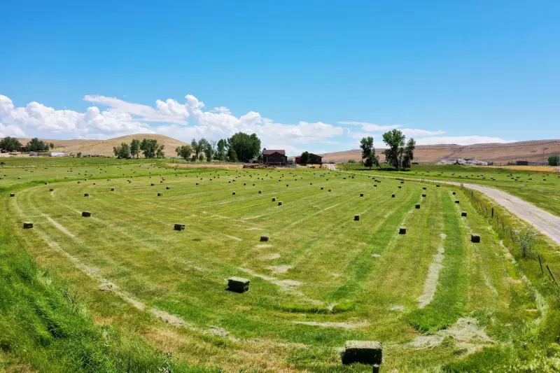 GREYBULL WYOMING LOG SIDED HOME ON 40 ACRES #84