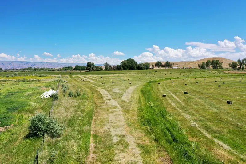 GREYBULL WYOMING LOG SIDED HOME ON 40 ACRES #85