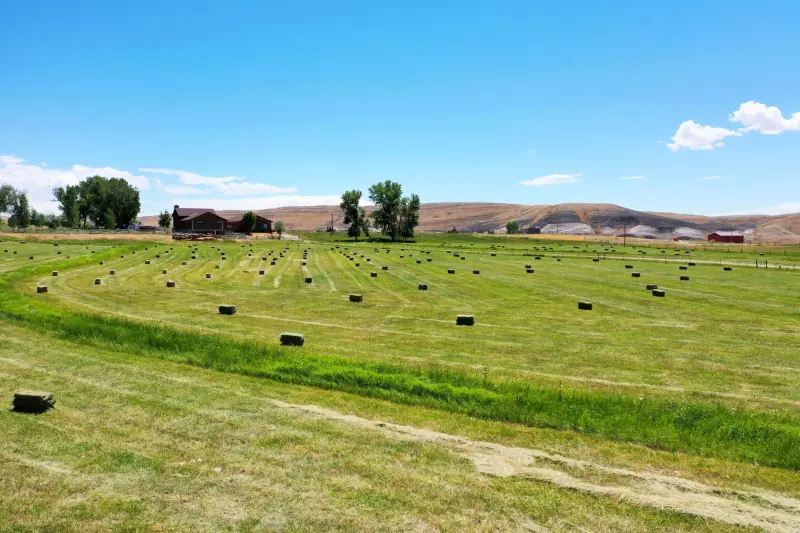 GREYBULL WYOMING LOG SIDED HOME ON 40 ACRES #86