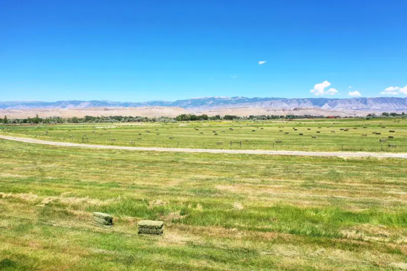 GREYBULL WYOMING LOG SIDED HOME ON 40 ACRES #87