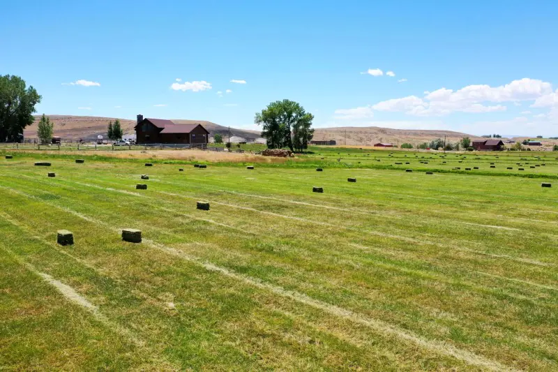 GREYBULL WYOMING LOG SIDED HOME ON 40 ACRES #88