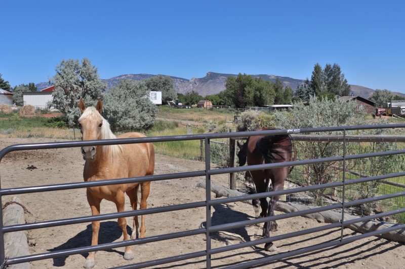 Wyoming Homes For Sale With Acreage Canyon Real Estate, Cody Wyoming