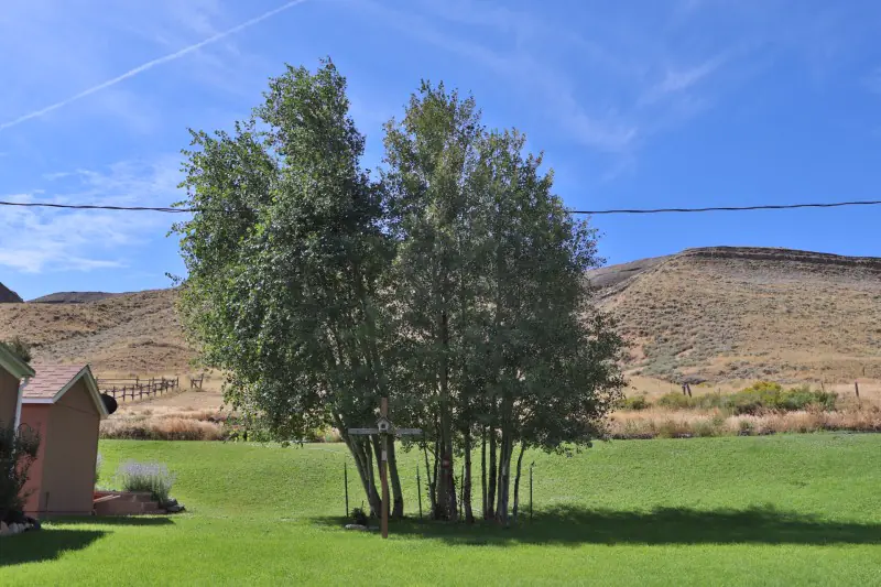 CODY WYOMING HOME ON 7.6 ACRES #35