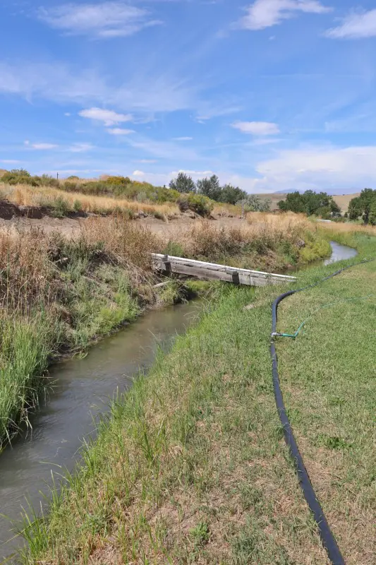 CODY WYOMING HOME ON 7.6 ACRES #44