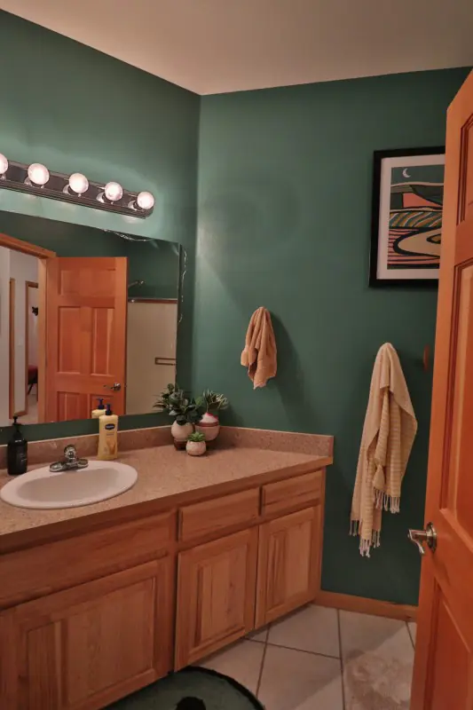 CODY WYOMING HOME ON 6 ACRES FOR SALE #22