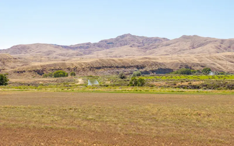 5 ACRE LOT FOR SALE IN BETWEEN CODY AND POWELL #15