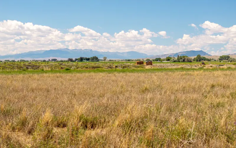 VACANT LOT FOR SALE IN BETWEEN CODY AND POWELL #12