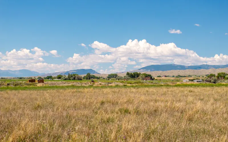 VACANT LOT FOR SALE IN BETWEEN CODY AND POWELL #13