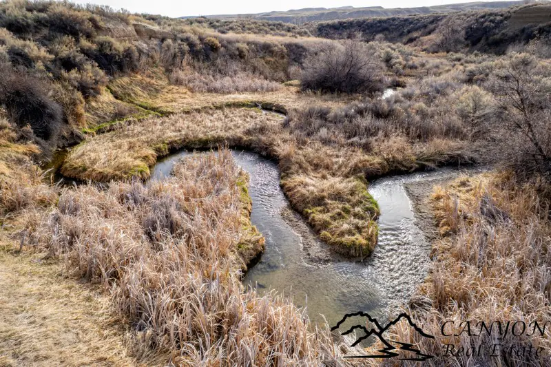 CREEK FRONTAGE LAND FOR SALE #2