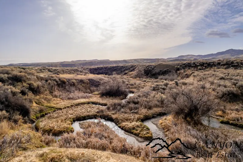 CREEK FRONTAGE LAND FOR SALE #9