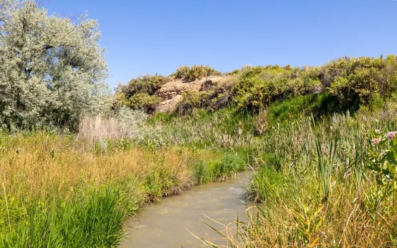 land with creek powell wyomingg