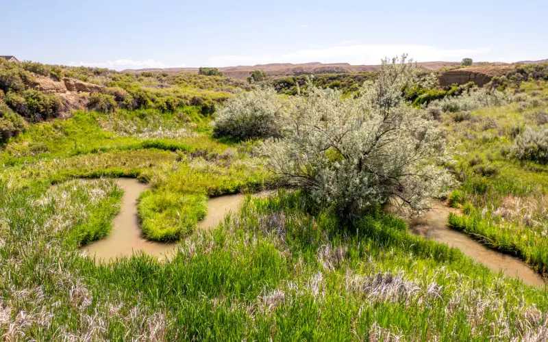 CREEK FRONTAGE LAND FOR SALE #4