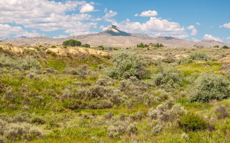CREEK FRONTAGE LAND FOR SALE #5