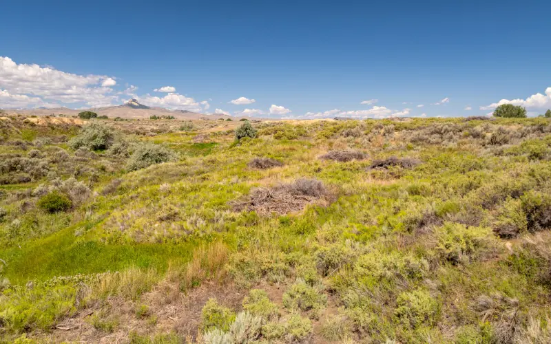 CREEK FRONTAGE LAND FOR SALE #6