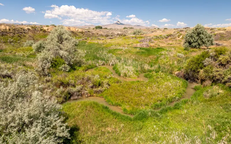 CREEK FRONTAGE LAND FOR SALE #7
