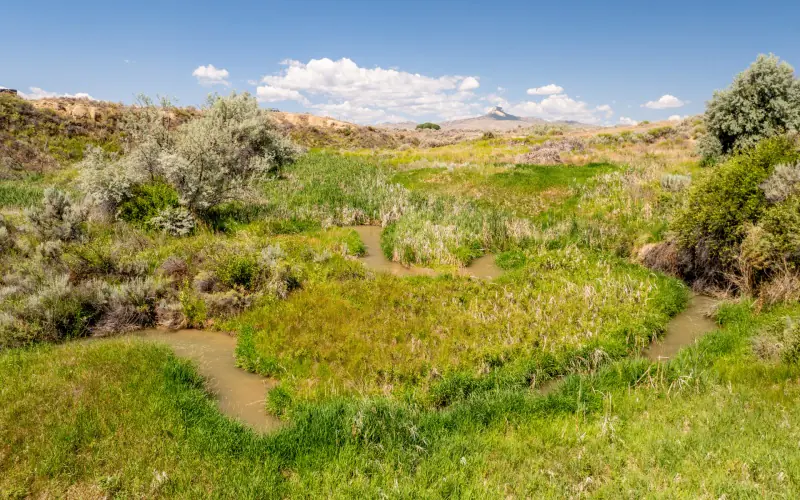 CREEK FRONTAGE LAND FOR SALE #8
