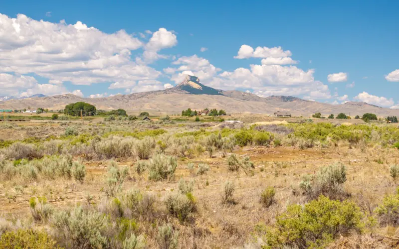 CREEK FRONTAGE LAND FOR SALE #11