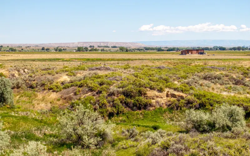 CREEK FRONTAGE LAND FOR SALE #13