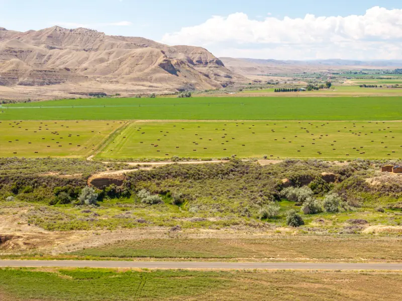 CREEK FRONTAGE LAND FOR SALE #15