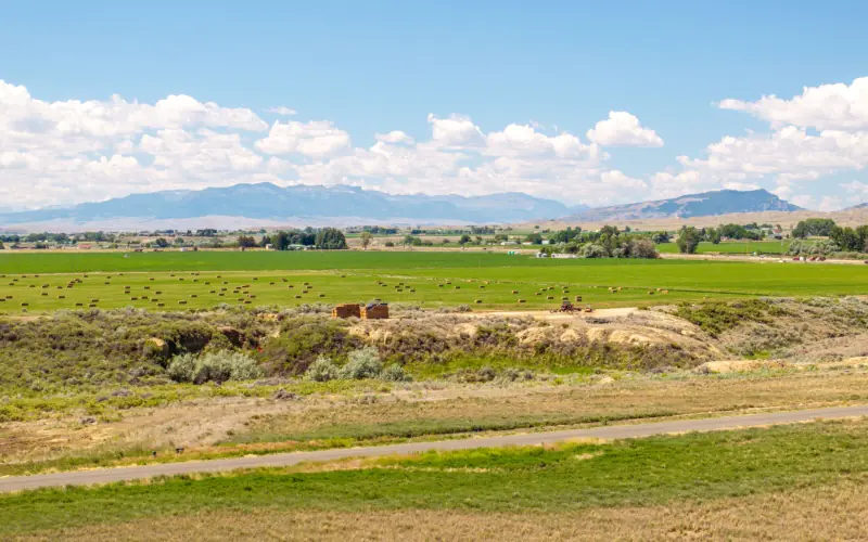 CREEK FRONTAGE LAND FOR SALE #17
