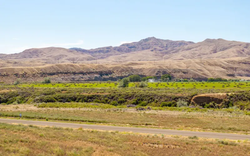 CREEK FRONTAGE LAND FOR SALE #18