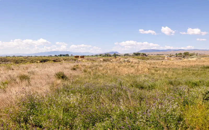 CREEK FRONTAGE LAND FOR SALE #22
