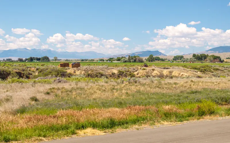 CREEK FRONTAGE LAND FOR SALE #24