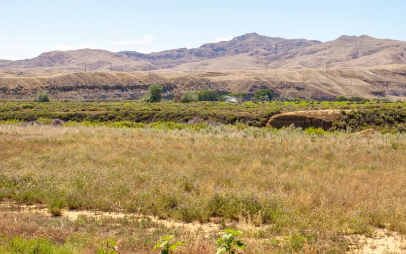 CREEK FRONTAGE LAND FOR SALE #25