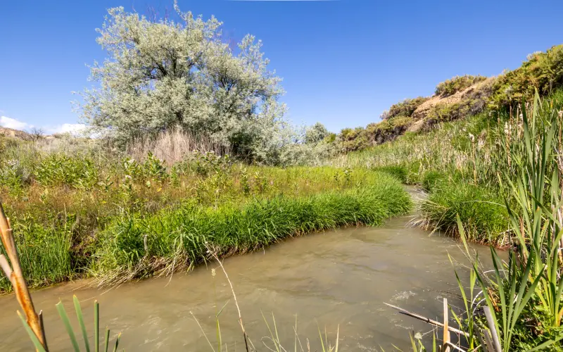 CREEK FRONTAGE LAND FOR SALE #28