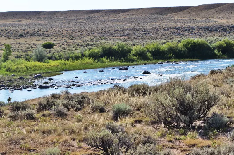 Gold Bar River Ranch #66