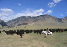 Wyoming Ranches for Sale